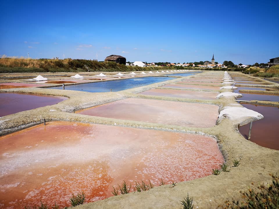 [ MARAIS SALANTS] Petit tour chez Mr Raffin des Marais Rivolia à l'île ...